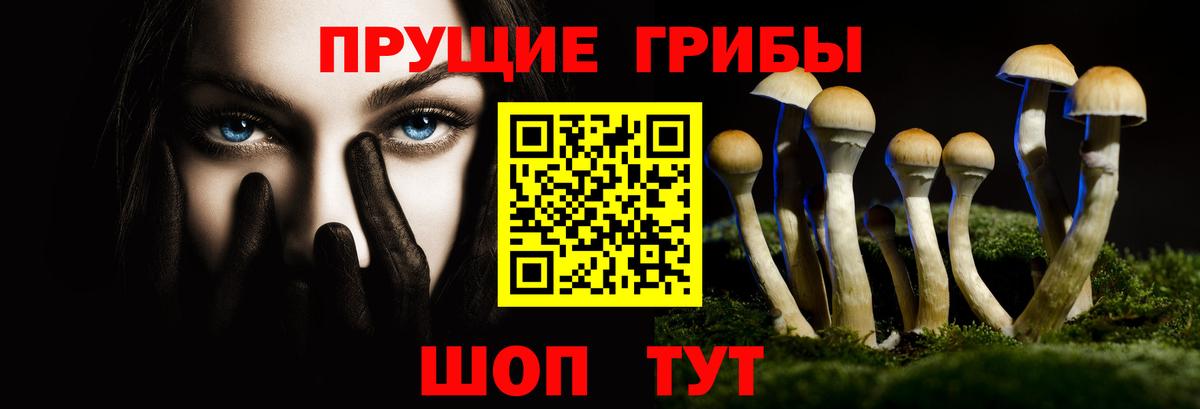 Галлюциногенные грибы Psilocybe  Вход с VPN  Люберцы 